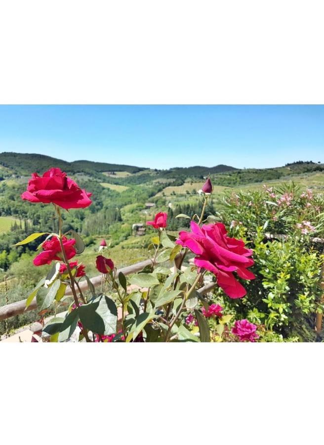Iris Nel Borgo Daire Greve in Chianti Dış mekan fotoğraf